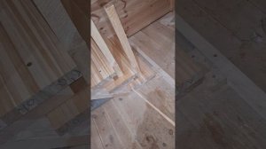 1000056064.mp4 (Собака наблюдает за устройством лестницы на 2-ой этаж в доме А-фрейм)