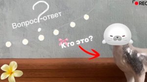 Вопрос- ответ 🐴