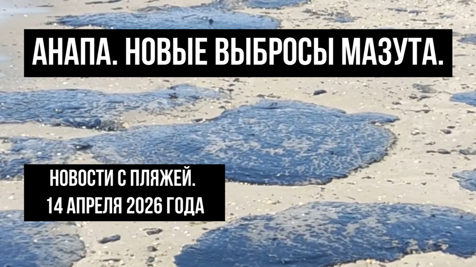 Анапа, 14 апреля 2026 года, новые выбросы мазута, новости с пляжей