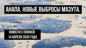 Анапа, 14 апреля 2026 года, новые выбросы мазута, новости с пляжей