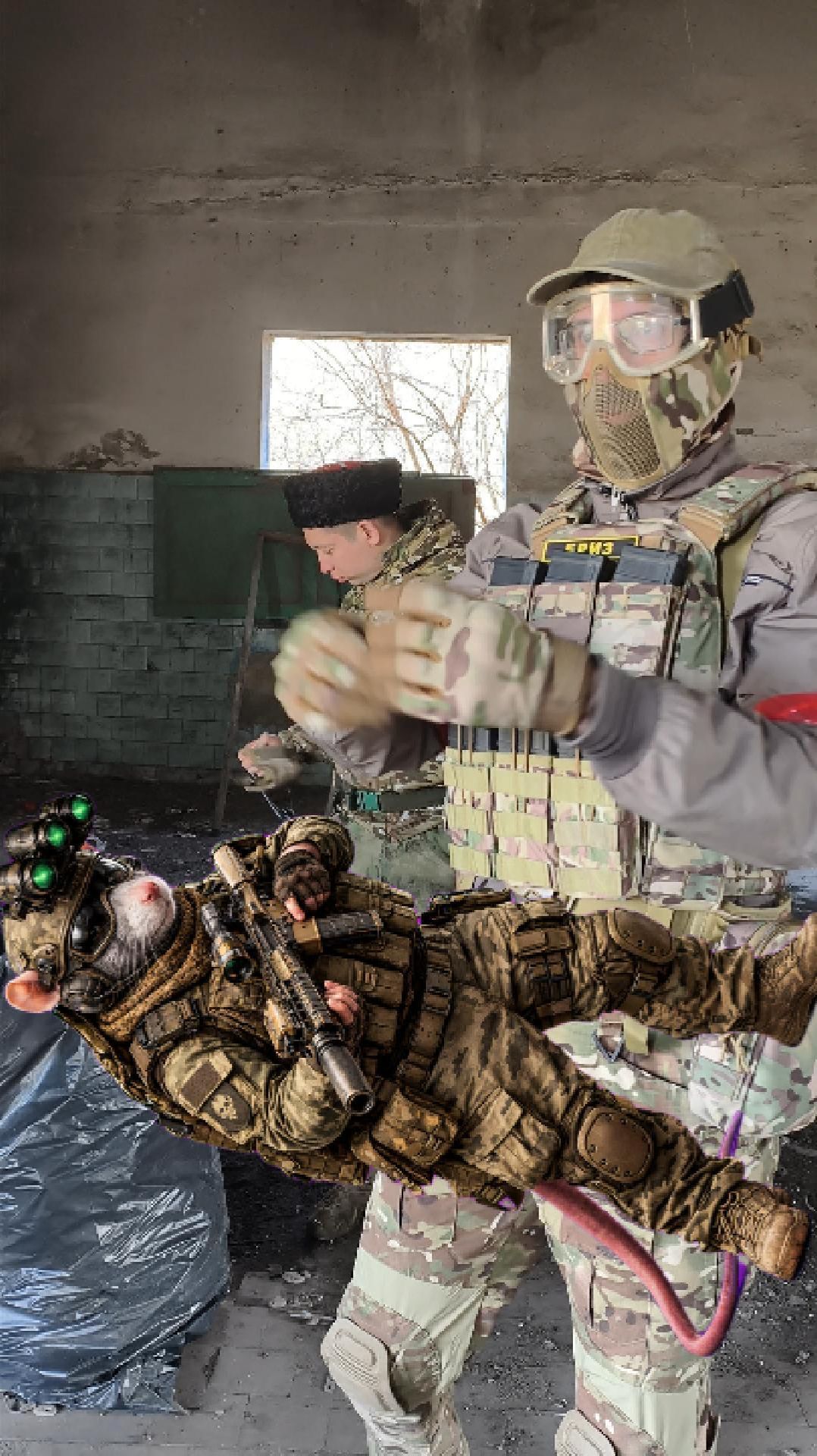 Контузило мышь