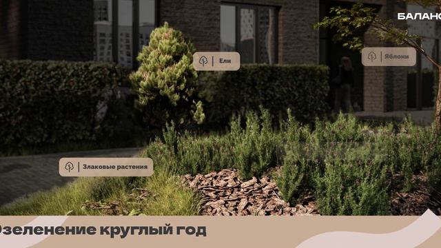 ВИДЕО О ПРОЕКТЕ