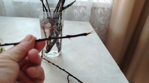 ДЕРЕВЕНСКАЯ ЖИЗНЬ🏡🏡🏡. БУДНИЧНЫЕ ДНИ.