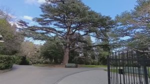 Шла по улице а пришла в Большой Хаос 😊