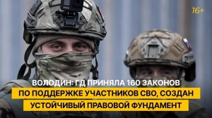 Володин: ГД приняла 160 законов по поддержке участников СВО, создан устойчивый правовой фундамент
