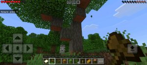 играю в Майнкрафт айпи сервера в опписании