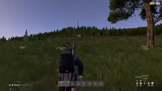 Dayz сервер NEW DAY | PvE ДЛЯ ДУШИ | НЕТ МУТАНТОВ стрим №1