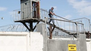 Заключенный хабаровчанин выдавал себя за пропавших бойцов СВО и выманивал деньги