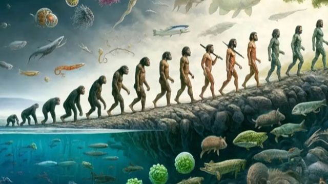 Как работает эволюция за 54 минуты | Шон Б. Кэрролл: Полное интервью