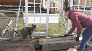 6 соток 4 апреля 2026 года. Хроника. Посадила 2 куста пиона к новому домику.