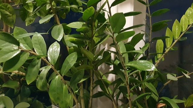 Родимый край