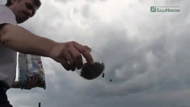 Бионекс-1 и Куриный помет Применение