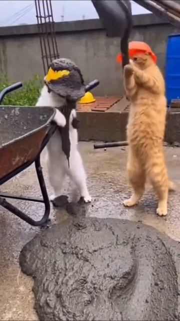 Строительство в полном порядке