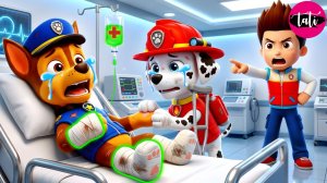 Щенячий патруль и Маршалл. Залипательное видео. Мультфильм для детей и малышей. Анимация 403