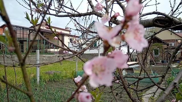 Красиво очень, глаз не оторвать от этой красоты.