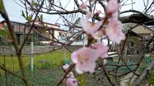 Красиво очень, глаз не оторвать от этой красоты.