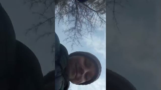 Едем в музей смотреть онлайн