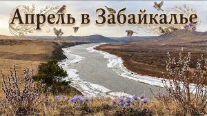 АПРЕЛЬ В ЗАБАЙКАЛЬЕ