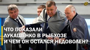 В СИЗО ВСЕХ! Лукашенко устроил разбор полетов чиновникам/ Что показали Президенту в рыбхозе?