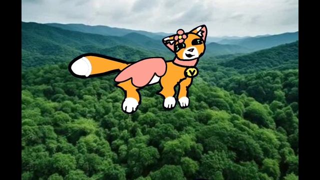 убиля хвою!!! 🍒🍒🍒