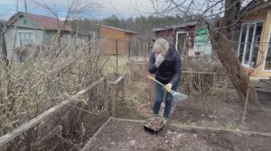 Весенние хлопоты на даче/Обработали розы от болезней и вредителей