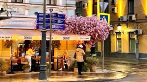 «Московские окна»