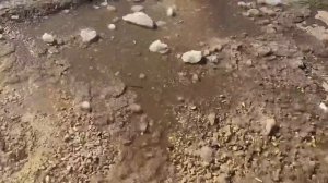 Паромную переправу Павлово — Тумботино временно закрыли