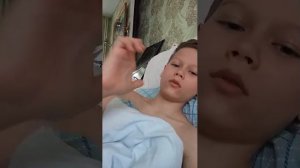 на мне лежит кошка