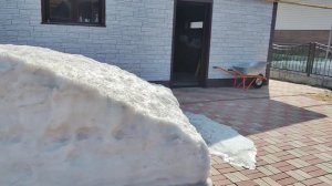 Подсыпала томаты! Подстригла Лобелию! Снег лежит, а чесночëк взошëл! 🙂👍