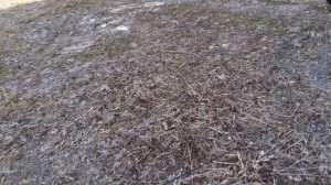 С утра подморозило.