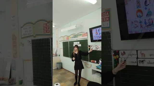 Урок окружающего мира на тему: Уход за домашними питомцами