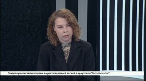 Гость студии — начальник отдела санитарного состояния администрации Иркутска Елена Демьянчикова