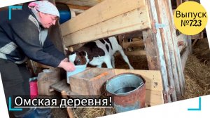 Живём в деревне. Ремонтируем трактор и доим коров. Купили новых кроликов!