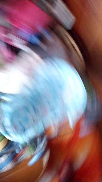 ЖИВОТНОЕ ЧАСТЬ1