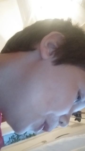 овощи не поделили компьютер