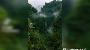 ИИ -"Волк Одиночка" Автор текста я.Музыка и исполнение ИИ.