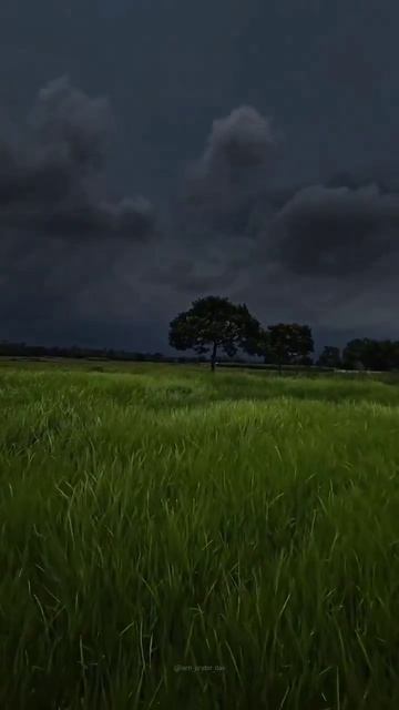 Когда кто-то спрашивает меня, какая погода мне нравится больше всего