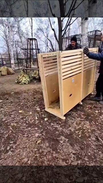 ЛЕСНЫЕ ЭЛЬФЫ ВЫШЛИ ИЗ ТЕНИ!