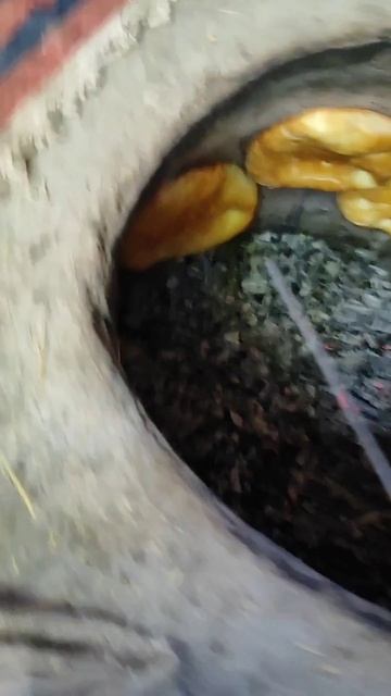 Прикольная озвучка