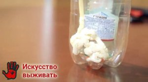 Термос своими руками