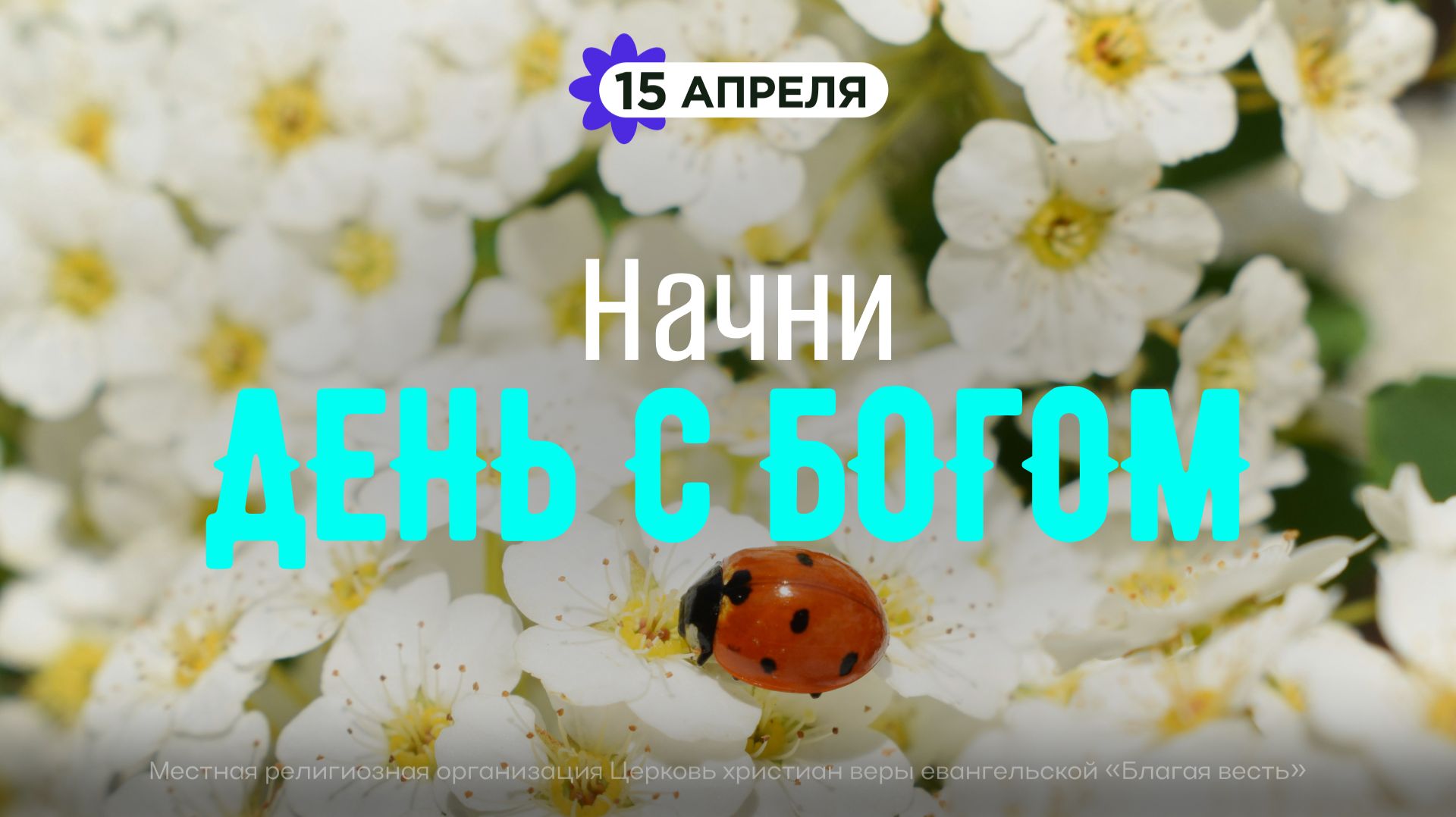 Начни день с Богом (15.04.2026) - Церковь «Благая весть онлайн»