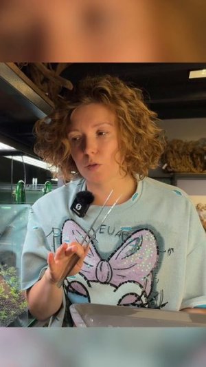 Сколько должен гореть свет на запуске аквариума? Рассказываю 😃 #аквариум #аквариумистика #рыбки