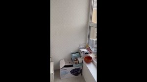 Волгоград Шекснинская 98