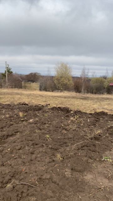 Весна покажет!