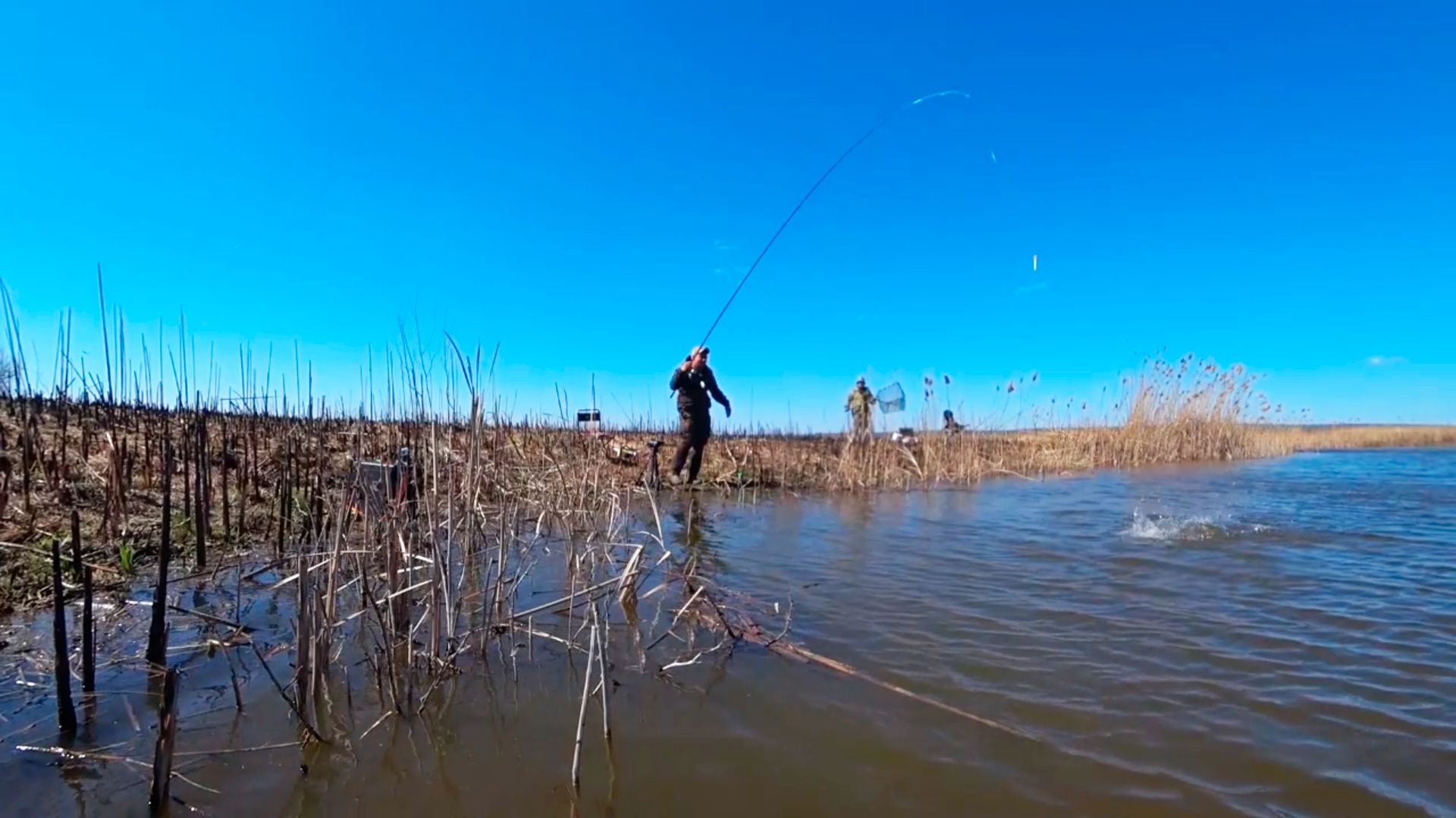 Невероятно, но факт! В ручье после пожара — бешеный клёв карася на поплавок!
