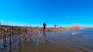 Невероятно, но факт! В ручье после пожара — бешеный клёв карася на поплавок!