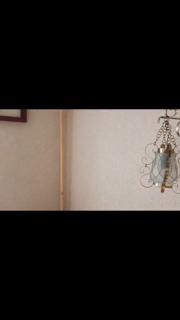 1000407408.mp4 ленлорд, Содружество,80