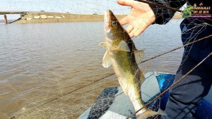 Амур весной! Рыбалка на Хапугу - выезд 4, что поймали