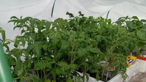 Такой подлянки я не ожидала! 😱