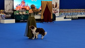 Тамила Бутримова.Чемпионат Р.К.Ф.Всероссийские соревнования по танцам с собаками.Санкт-Петербург.